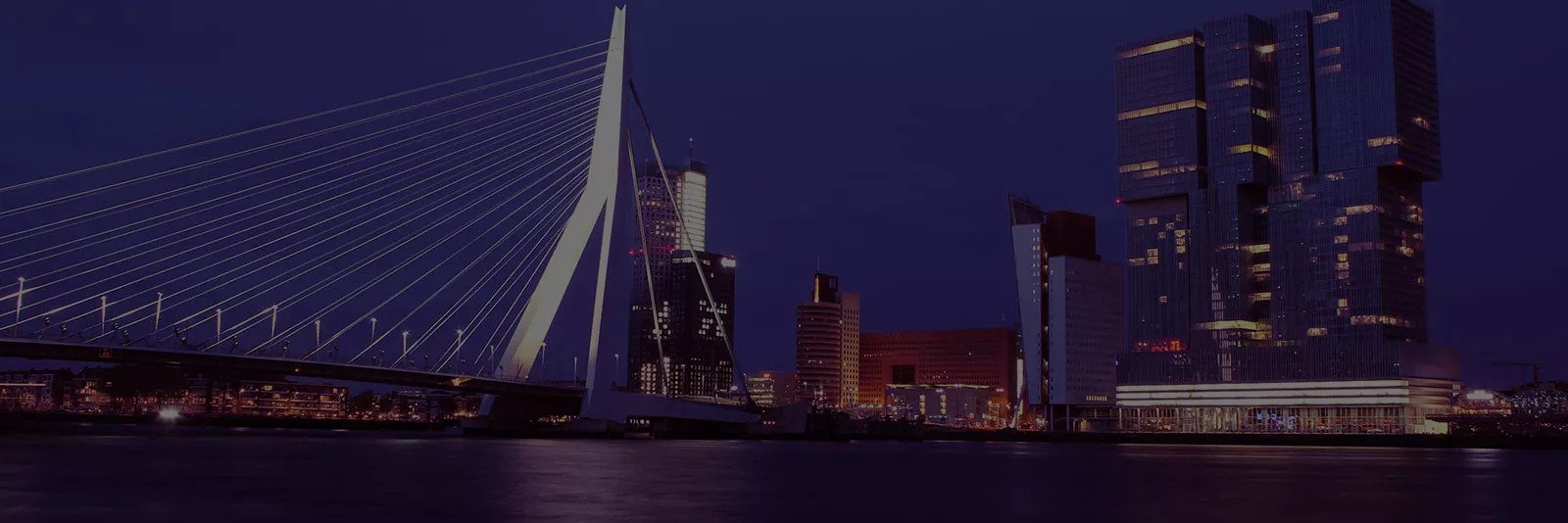 Rotterdam skyline and Erasmus Bridge at night